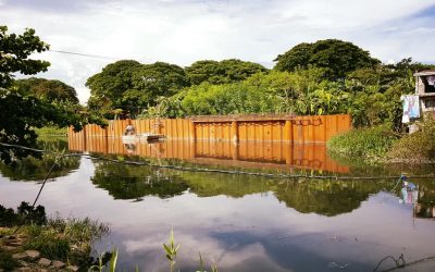 Taguig River Protection